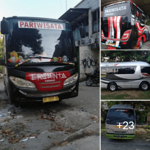 Rental Sewa Mobil Kradenan