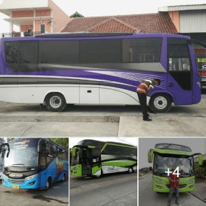 Rental Sewa Mobil Pemalang