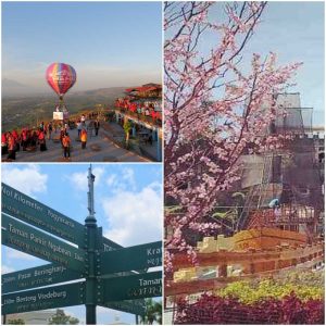 Paket Wisata Purworejo ke Jogja